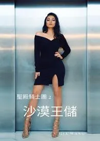 沙漠王储-圣殿骑士团