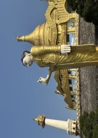 两千公里棕榈树(H)