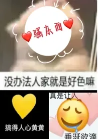 骚东西