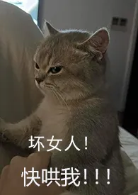 就算是坏女人她也全都要(NP 百合ABO主攻)
