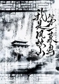我是风烛山第一菜鸟(NP)