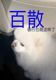 百合短篇散写（H GL ABO futa）