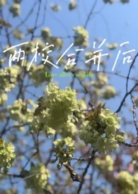 两校合并后(男小三/校园h/1v2)