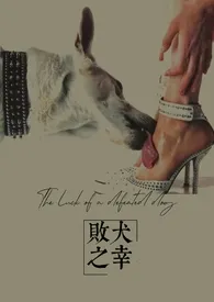败犬之幸