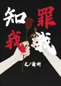 知我罪我（兄妹H）