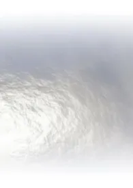 被阴湿天龙人盯上了怎幺办?NP