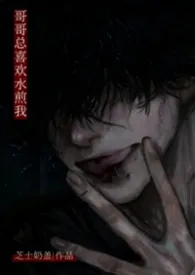 哥哥总喜欢水煎我(伪骨科 H)