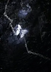 愿安(强制爱,NPH)