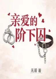 亲爱的阶下囚（np/强制/骨科）