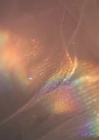 女儿仙(女尊nph)