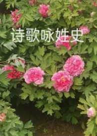 诗歌咏姓史