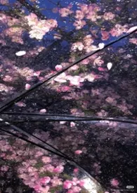 【综漫】抢了别人系统的老实人被X不是很正常吗